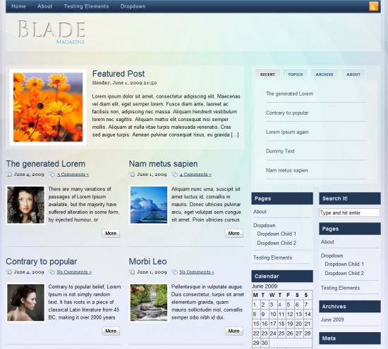 blade-wordpress-theme