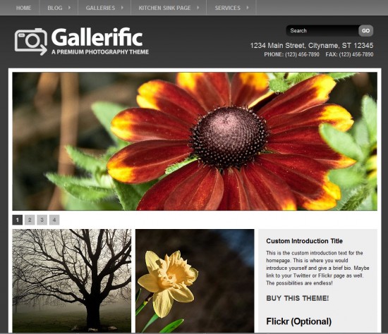 gallerific-wordpress-theme