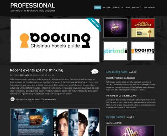 professional-wordpress-theme