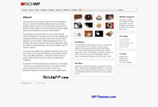 RichWP-Agency-CMS-Business-Theme-Reduced=WPT